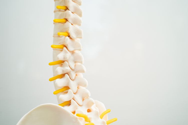 Staying Straight- Upper Cervical Care for Sustained Spinal Health