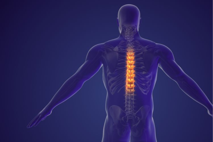 Restore Chiropractic Center's Approach to Spinal Health