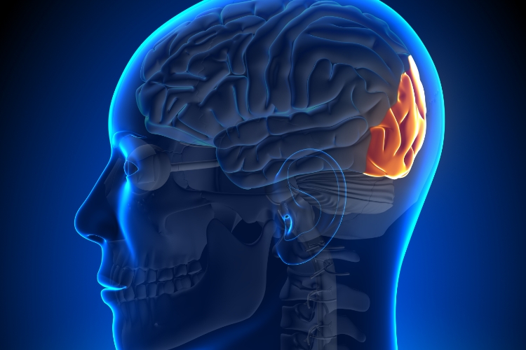 Soothing the Nerves: Upper Cervical Chiropractic's Role in Treating Occipital Neuralgia
