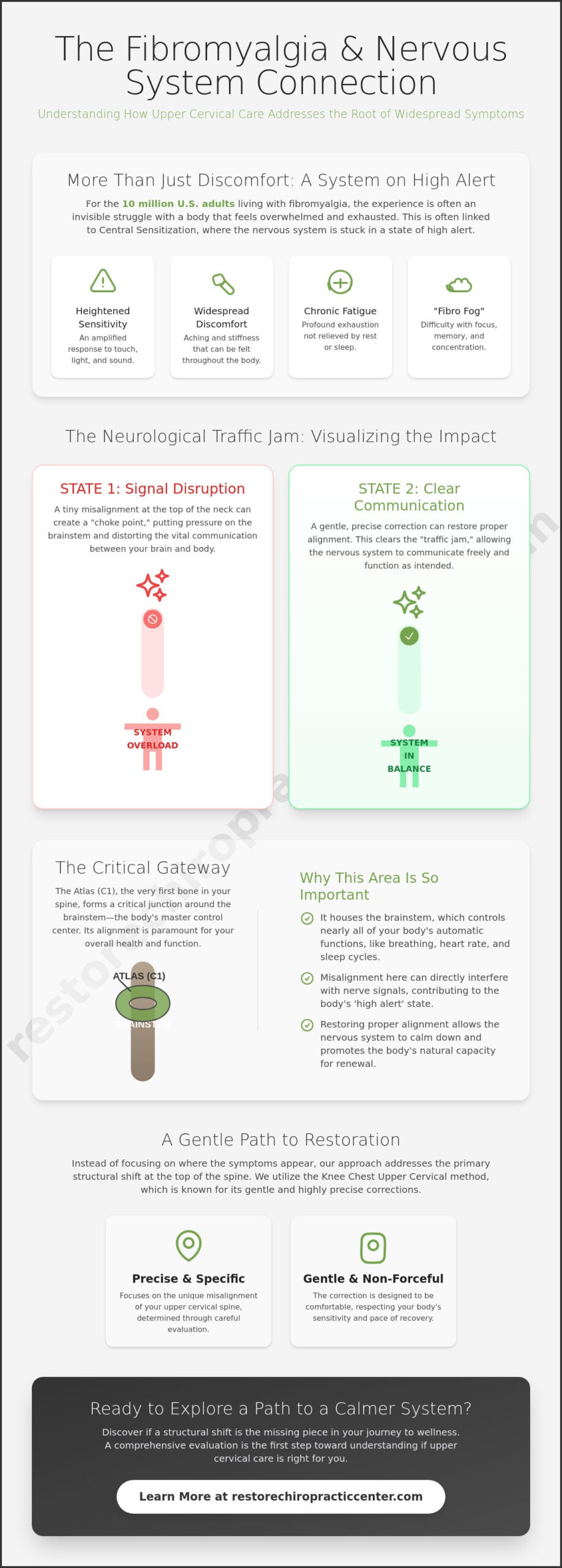 Fibromyalgia Relief in Omaha: A Natural Path to Restoring Nervous System Health