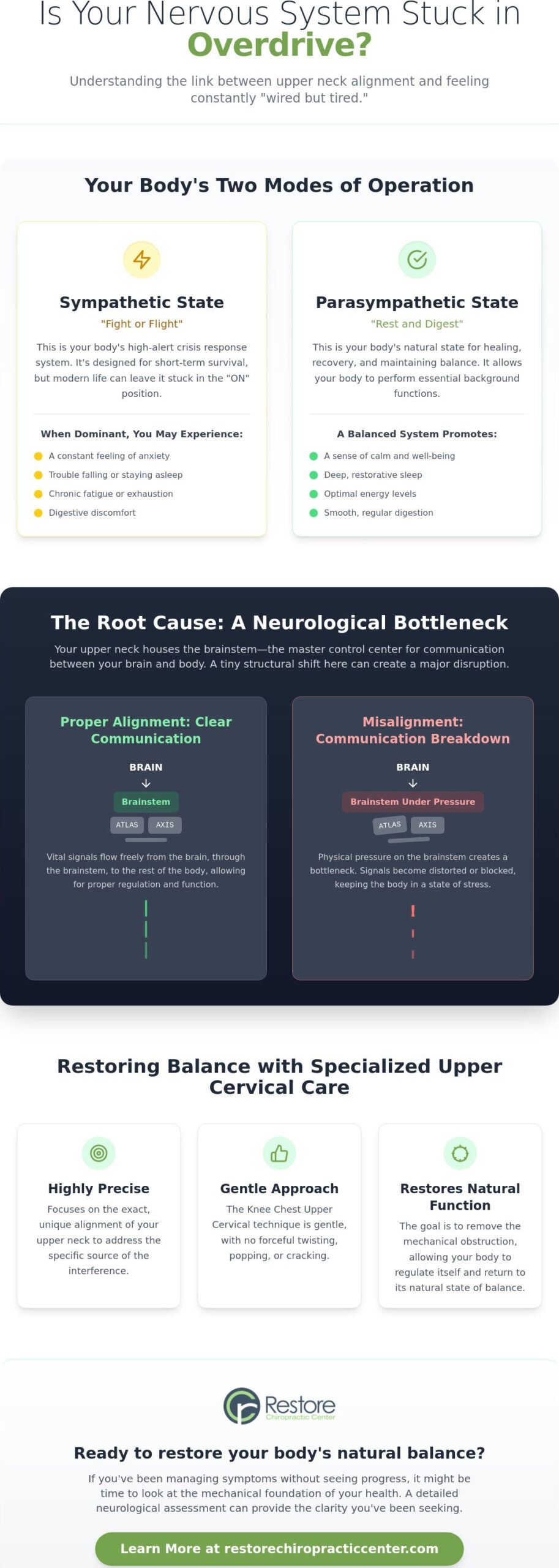 Chiropractic for Autonomic Nervous System Function in Omaha: A Natural Path to Balance