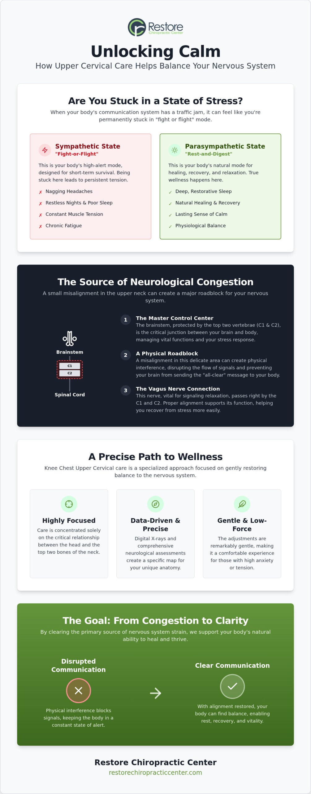 Chiropractic for Stress Relief in Omaha: A Natural Path to Nervous System Balance